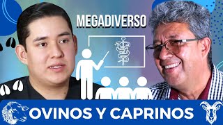 Ovinos Caprinos y Aprendizaje Secretos de un Mentor Veterinario 🐐🌱  Ep 19 Megadiverso [upl. by Berget]