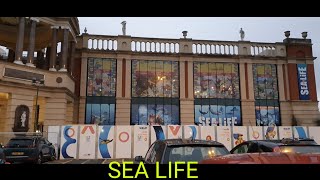 SEA LIFE TRAFFORD CENTRE  MANCHESTER [upl. by Akehsar]