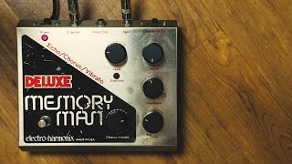 ElectroHarmonix Deluxe Memory Man [upl. by Sidnac783]