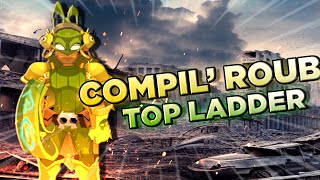 COMPIL ROUB FULL INI FULL AGGRO  DOFUS PVP 1 VS 1 [upl. by Airdnek]