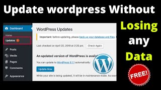 How To Update wordpress Without Losing any data [upl. by Scrope]