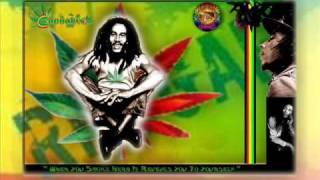 Libyan Reggae Arabic Bob [upl. by Anividul]