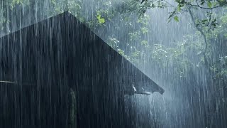 Sleep Instantly Within 3 Minutes with Heavy Rain amp Thunder on Ancient House in Foggy Forest at Night [upl. by Yrelav]