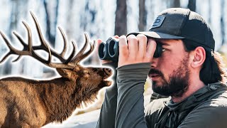 COLORADO OTC ARCHERY ELK [upl. by Euhc]