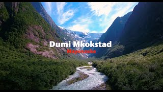 Dumi Mkokstad – Mayenzeke Official Lyric Video [upl. by Gentilis41]