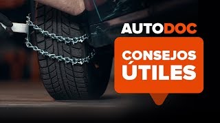 Cómo instalar cadenas para la nieve  AUTODOC [upl. by Miru]