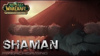 Elemental Shaman Basic DPS Guide Gameplay [upl. by Evangelist]