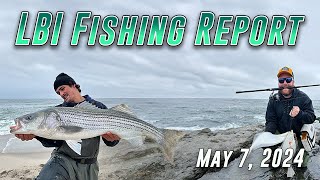 LBI Fishing Report 5724  Great Fishing For Bass amp Blues Continue [upl. by Eceinehs]