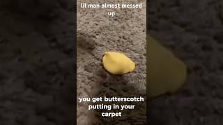 How to get butterscotch pudding out of your carpet tutorial [upl. by Anu]