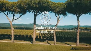 Guado al Tasso Bolgheri [upl. by Scribner872]