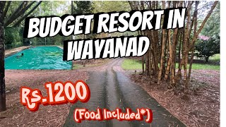 Budget resort in Wayanad  Wayanad Blooms Resort  Living loud with Rejul [upl. by Mani593]