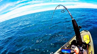 Offshore Kayak Fishing for GIANT Kingfish amp Red Snapper in Florida [upl. by Netfa]