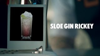 SLOE GIN RICKEY DRINK RECIPE  HOW TO MIX [upl. by Aicre]