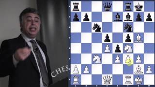 Strategic Ideas in the Opening  Seirawan vs Miles  GM Yasser Seirawan  20130425 [upl. by Anauqes395]