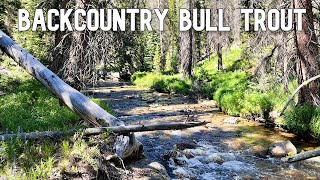 Chasing Backcountry Bull Trout [upl. by Bria632]