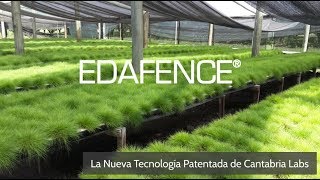 Tecnología EDAFENCE® Deschampsia antarctica [upl. by Hatokad948]