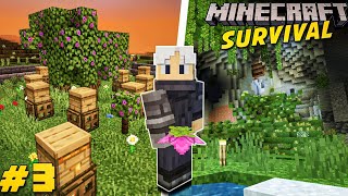 Bee Farm amp Lush Cave Exploration  Lush Caves are Awesome  Minecraft PE Episode 3 [upl. by Ingham]