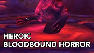 Heroic Nerubar Palace  The Bloodbound Horror Breakdown amp Kill The War Within Beta [upl. by Sweet]