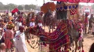 Pushkar Camel Fair [upl. by Ariat929]