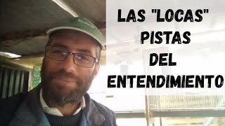 LA HISTORIA SOBRE EL USO DE HARINAS DE CARNE Y PESCADO EN ALIMENTOS PARA PÁJAROS [upl. by Enitsej]