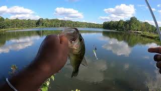 The Unexpected Joys of Largemouth Bass Fishing [upl. by Albers177]