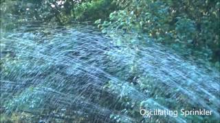 Oscillating Sprinkler [upl. by Havens]