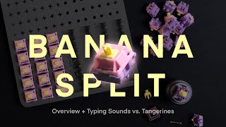 Is The Hype Real Banana Split Switch Overview [upl. by Atinele217]