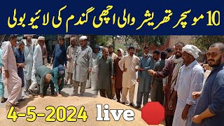 Gundam ka moscher 10 ho to galla mandi gandum rate 2024 [upl. by Armil]