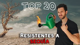 TOP 20 plantas resistentes al SOL y poco RIEGO 🥵 Plantas de sol para EXTERIORES [upl. by Raven497]