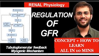 Regulation of GFR  Tubuloglomerular Feedback  Myogenic Mechanism  Renal Physiology [upl. by Del]