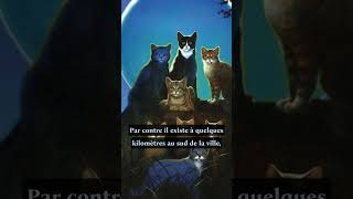 Jai trouvé le territoire des Clans dans la vraie vie  🌍​🐈​ lgdc warriorscats erinhunter [upl. by Eusassilem]