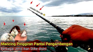 Nikmati Hidup  Mancing Pinggiran Pantai Pengambengan Strike ikan BERLENDIR [upl. by Nodnelg339]