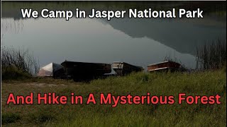 We Camp In Jasper National Park And Hike in a Mysterious Forest [upl. by Nettie]