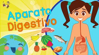 Aparato Digestivo para Niños Qué es la Digestión Sistema Digestivo para Niños [upl. by Swane]