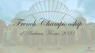 Vichy Arabian Horse Festival 2023  Highlights [upl. by Hareehat]