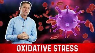 Oxidative Stress Immune System and Viral Infection [upl. by Pasco998]