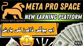 Meta Pro Space UrduHindi Explanation  Pro Power  Pro Autopool  Pro Salary Program [upl. by Aiker]