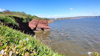 Early May Bank Holiday 2024  Devon  Ladys Mile  Dawlish  The South Coaster Haldon forest [upl. by Rolecnahc]