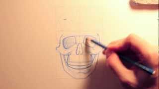 Tutorial Disegno Lezione 04 quotAnatomia del Teschioquot [upl. by Cyndy]