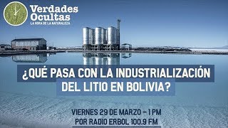 ¿Qué pasa con la industrialización del litio en Bolivia [upl. by Ahseined]