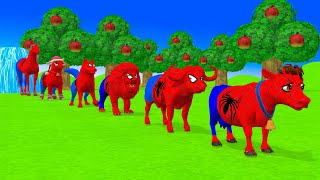 Paint Animals Cow Buffalo Lion Dog Tiger Gorrila Dinosaur Sheep Horse Fountain Crossing Animals [upl. by Ymmaj]