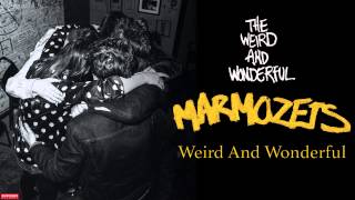 Marmozets  Weird and Wonderful Audio [upl. by Eihtak]