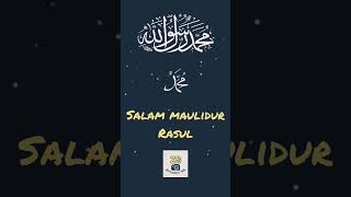 Salam Maulidur Rasulyoutubeshorts religionzikir [upl. by Remy]