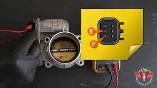 How To Test The Electronic Throttle Body GM Vehicles 20062011 [upl. by Salohcim]