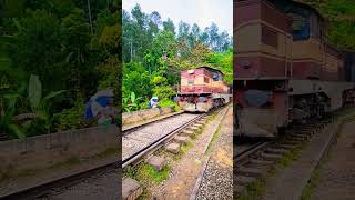 The Poudlard Express from Ella srilanka train travel [upl. by Anawaj]