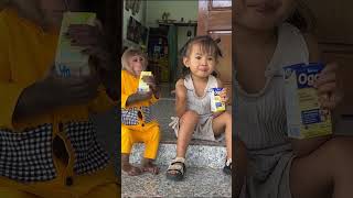 Should we praise this action  cutis monkey shortvideo babymonkeycutis [upl. by Olympia678]