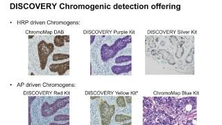 Multiplexed IHCISH Using an Automated Slide Staining Platform [upl. by Eioj]