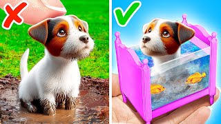 I Built a Miniature Room For My Puppy 🐶🏠 Useful Tips For Pet Owners [upl. by Lucania980]