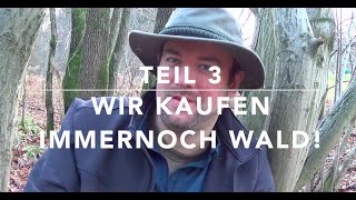 Wir kaufen Wald Rechte Pflichten Waldbau Finanzielles Teil 33 [upl. by Jacoba39]