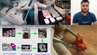 What is Histology introduction and various types of stain use in Histopathology Histology patho [upl. by Belamy653]